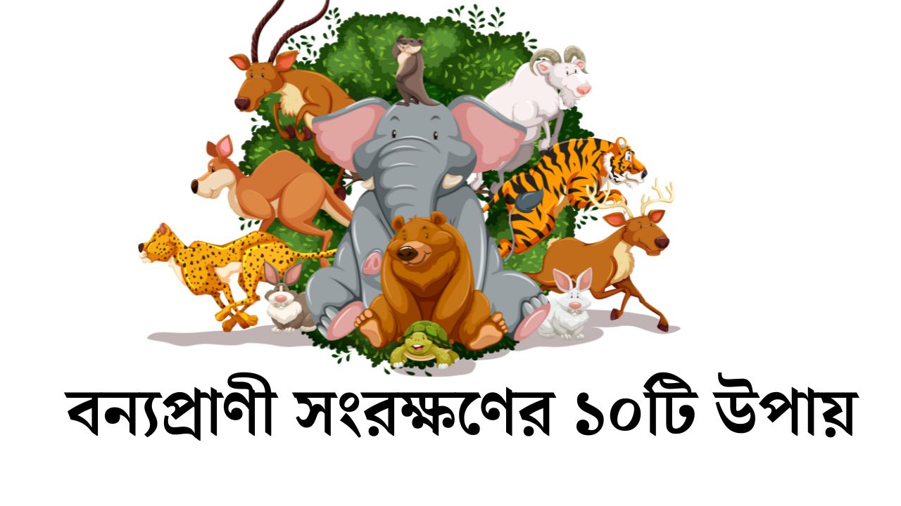 বন্যপ্রাণী সংরক্ষণের ১০টি উপায়