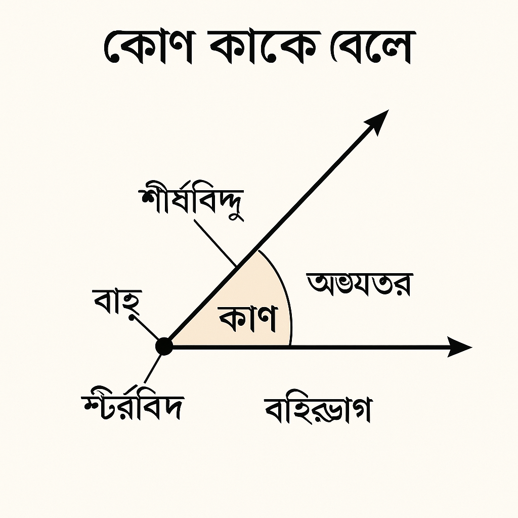 কোণ কাকে বলে