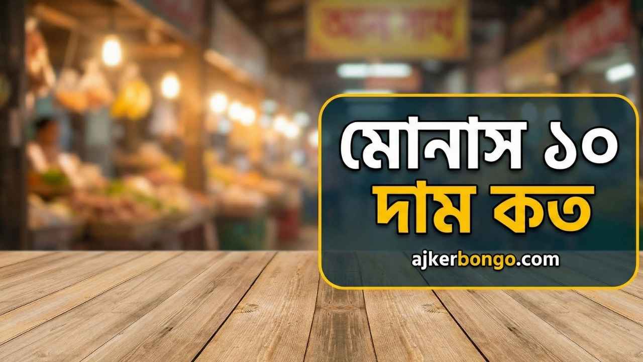মোনাস ১০ দাম কত