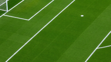 soccer field